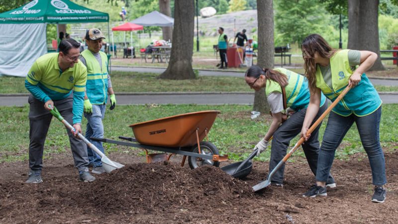 07.07.24 Crotona Park Cleanup BronxNy 02(featured)